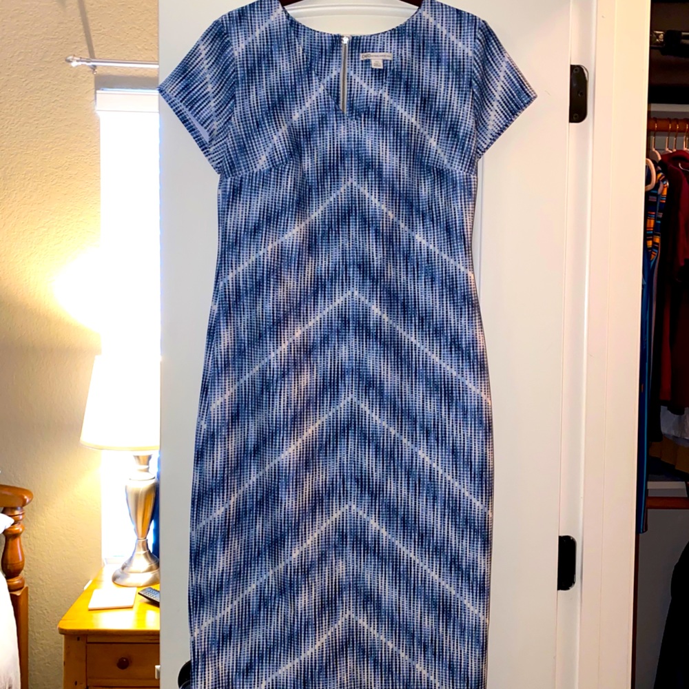 Blue and White Dress
